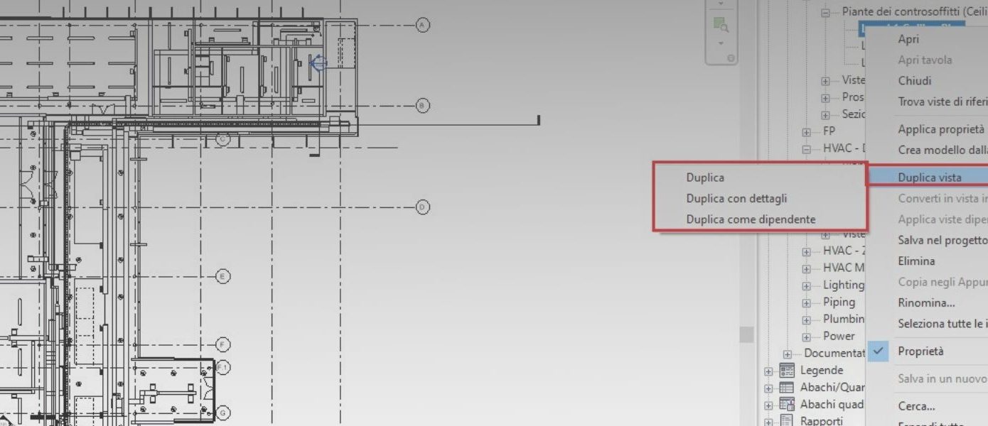 Viste Duplicate di Revit