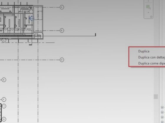 Viste Duplicate di Revit