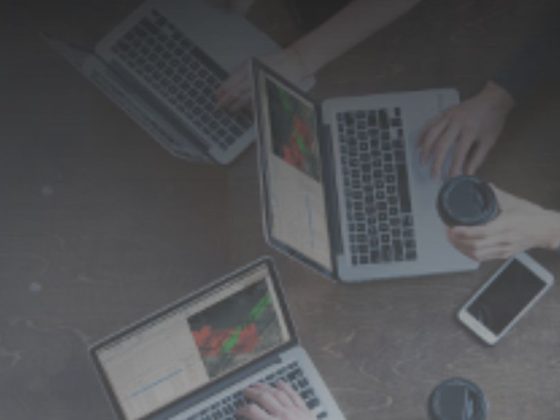 La Gestione dei Tuoi Progetti BIM è già nella AEC Collection